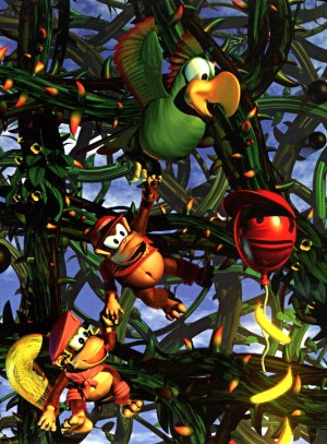 dkc2-3